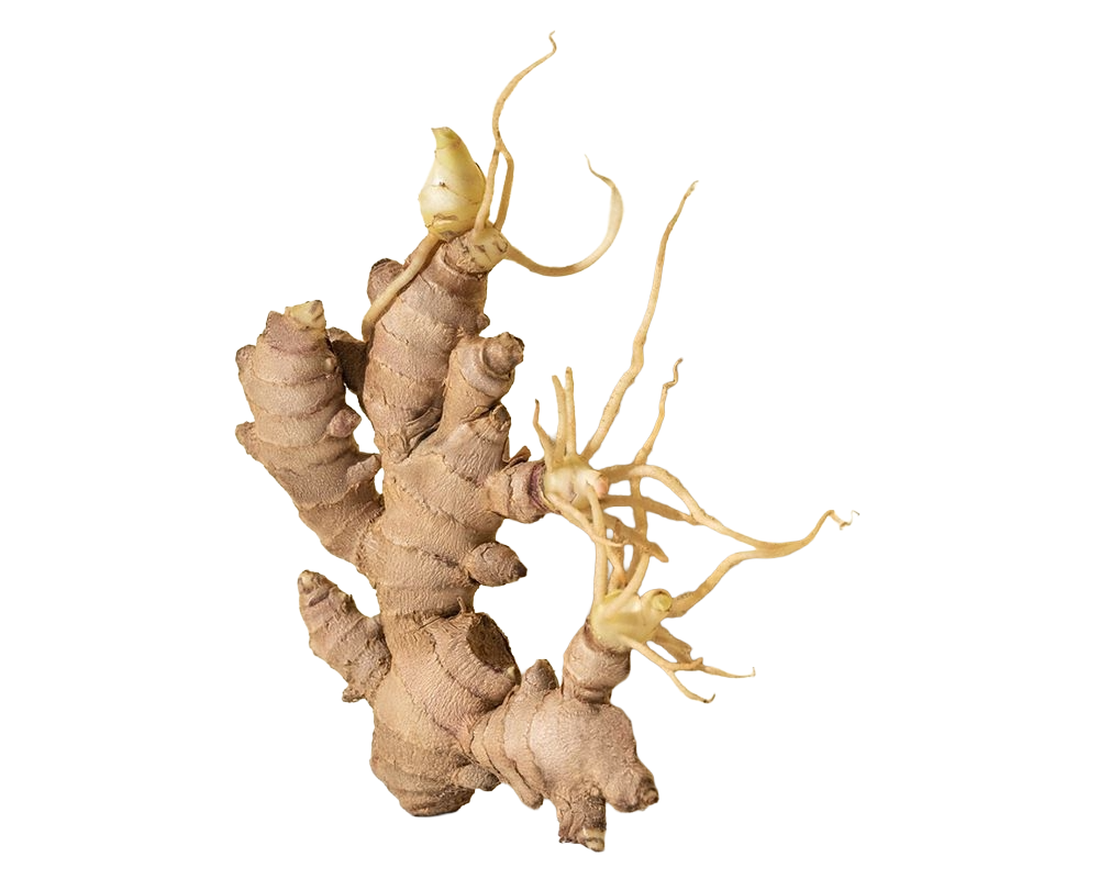 0e6f6e18c1f746426457bd85c4eb3d72