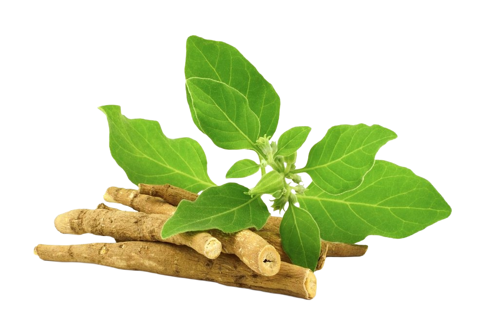 4236c3df1e94e4c8f23d651021fb14a6